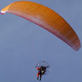 Spantik paramoteur - Nervures